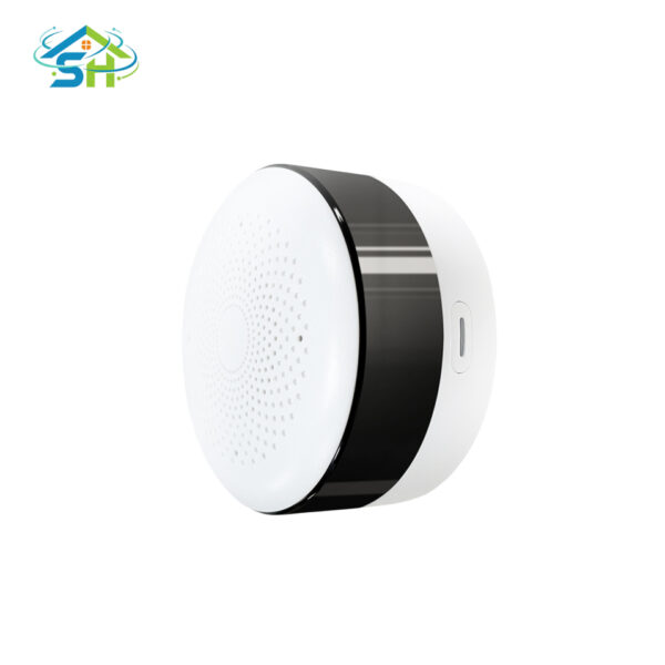 IR Controller (IR21)